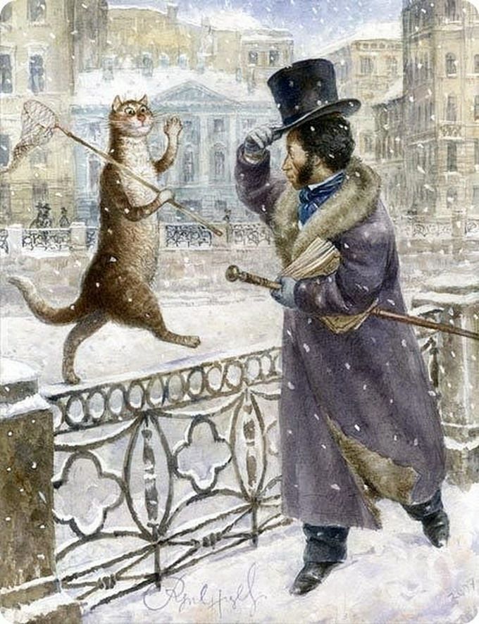 День петербургских кошек и котов